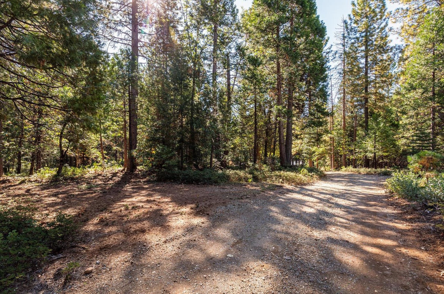 18545 Cruzon Grade Rd, Cherokee CA 95959-8539 exterior