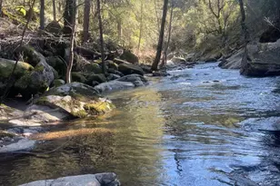 9161 Grizzly Flat Rd, Somerset, CA 95684 - Photo 1