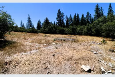 1402 Meredith Lane, Rail Road Flat, CA 95248 - Photo 31