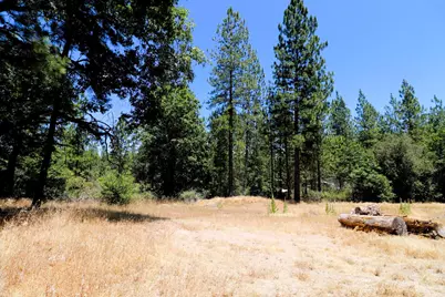 1402 Meredith Lane, Rail Road Flat, CA 95248 - Photo 35