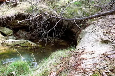 1402 Meredith Lane, Rail Road Flat, CA 95248 - Photo 17