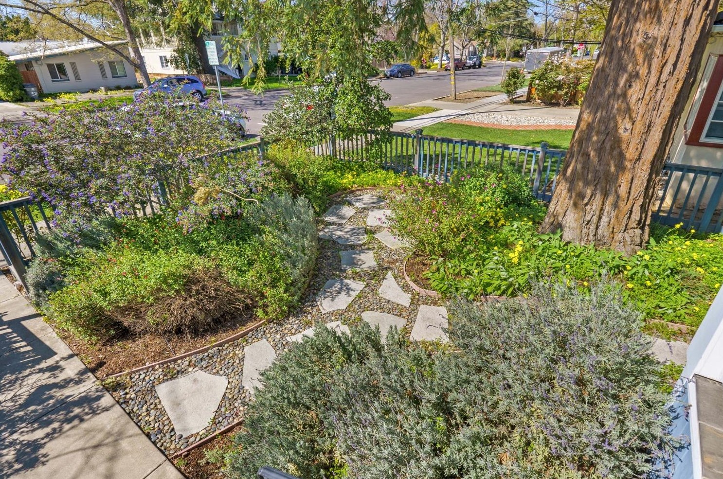 516 D St, Davis CA 95616-3815 exterior