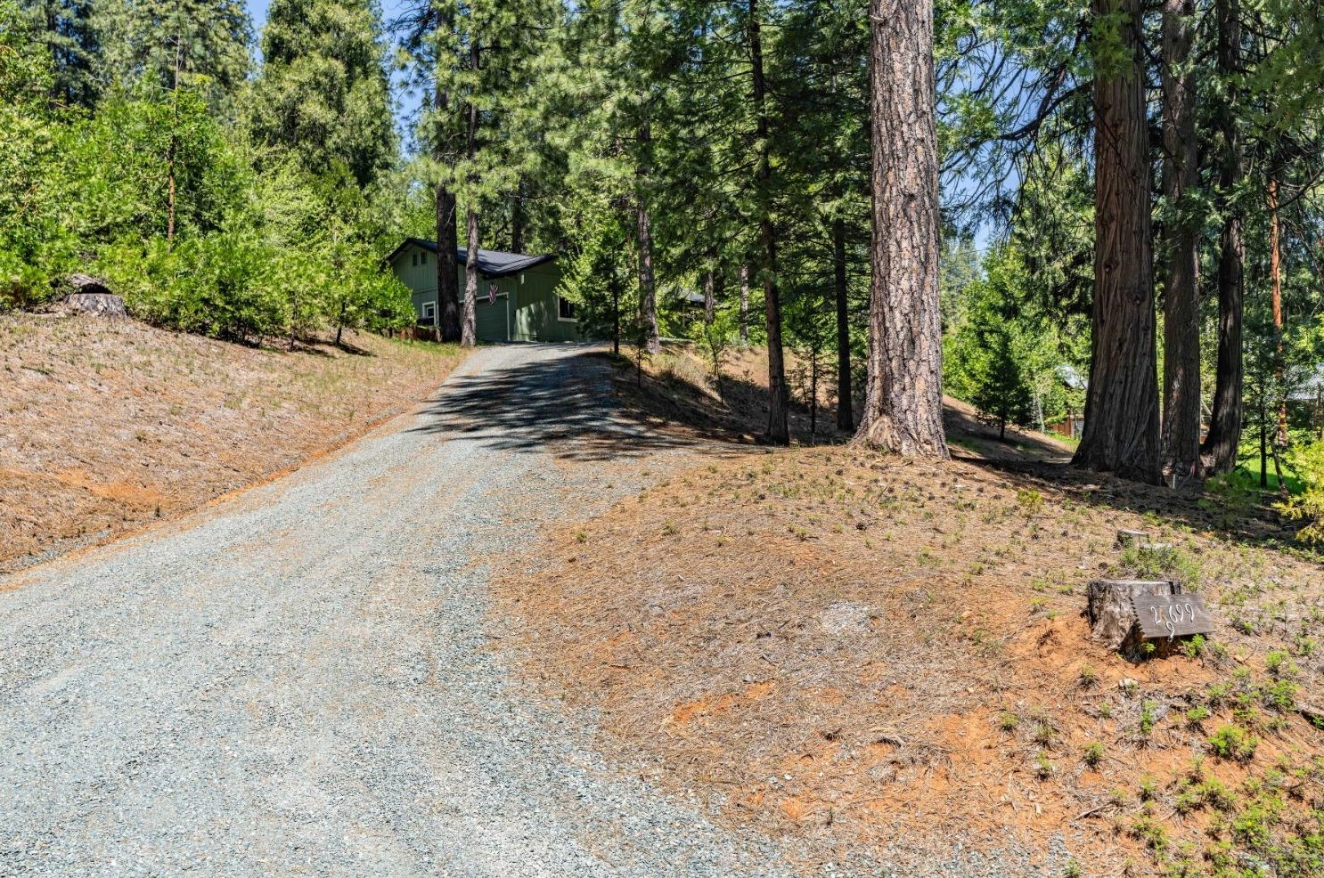 26699 Spg Rd, Pioneer CA  95666-9599 exterior