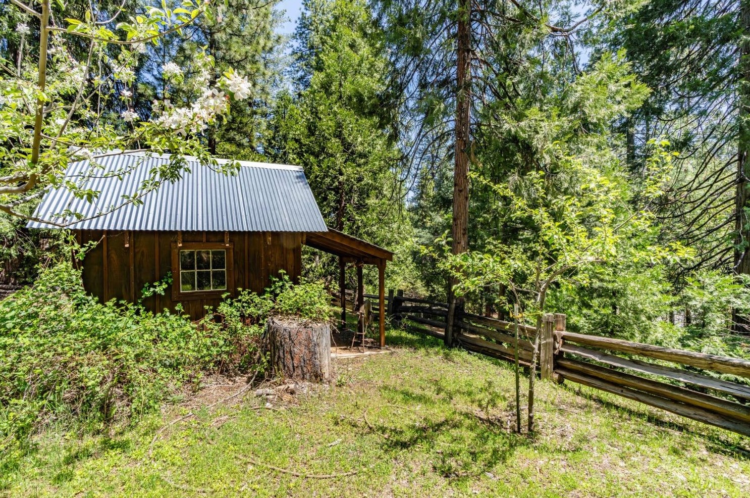 26699 Spg Rd, Pioneer CA  95666-9599 exterior