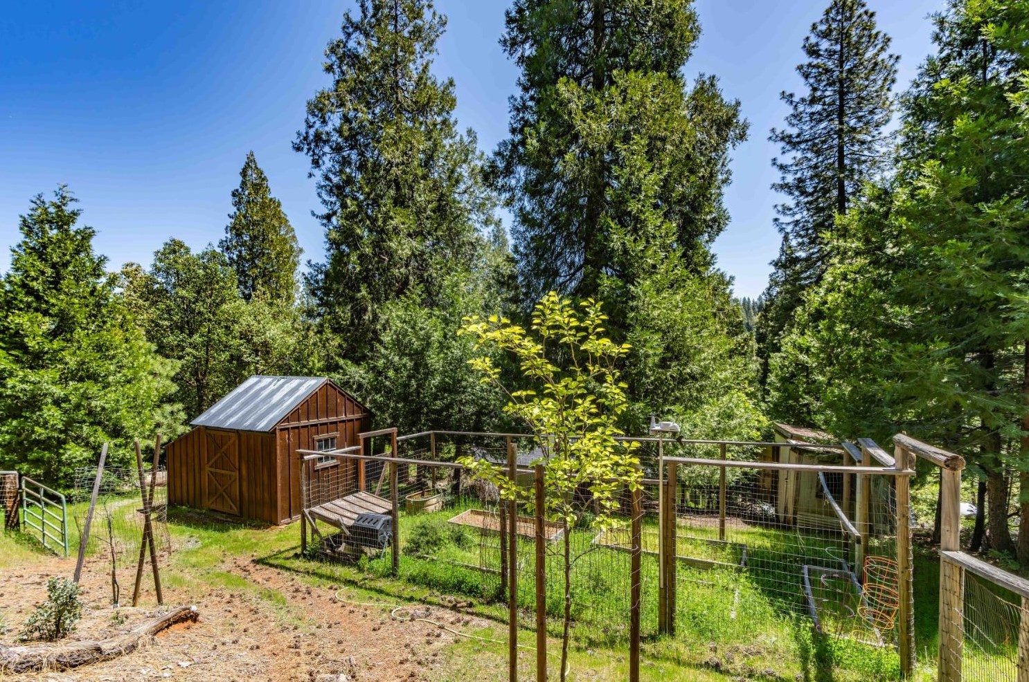 26699 Spg Rd, Pioneer CA  95666-9599 exterior