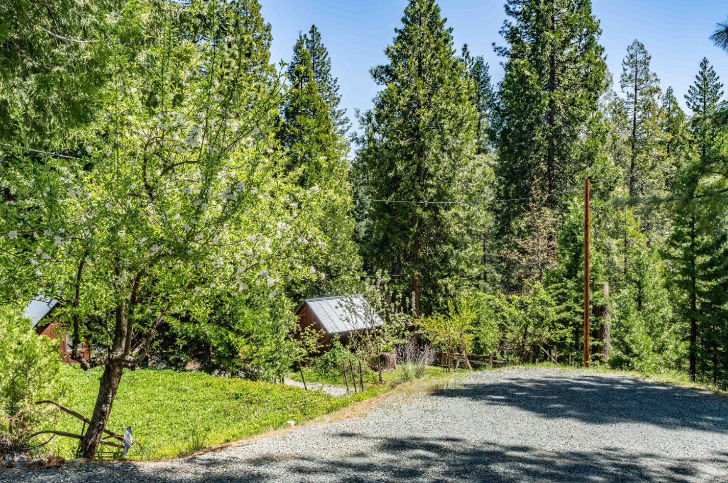 26699 Spg Rd, Pioneer CA  95666-9599 exterior