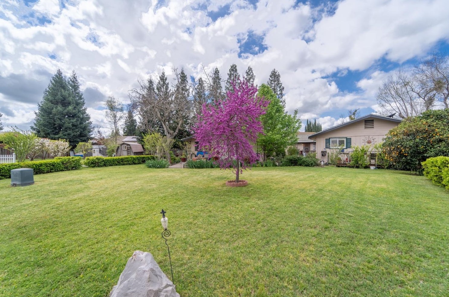 882 Reinman Ct, Valley Home CA  95361-4508 exterior