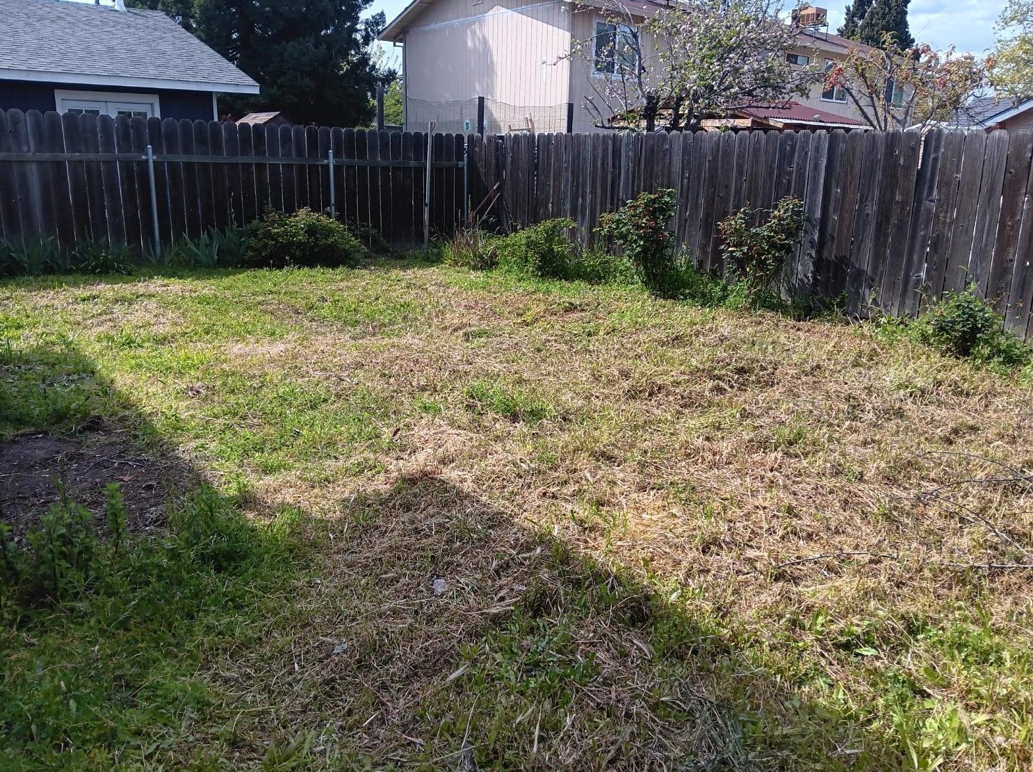 203 Lualan Ln, Roseville CA  exterior
