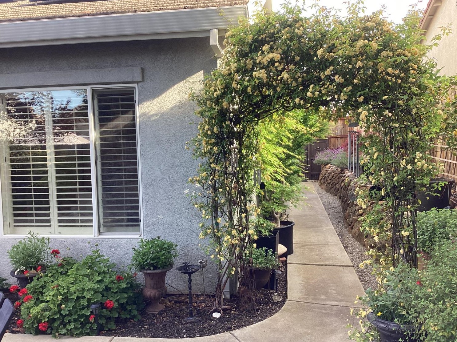 2520 Sasparilla Ct, Rocklin CA  95765-5605 exterior