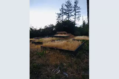 16275 Wildrose Way, Brownsville, CA 95919 - Photo 23