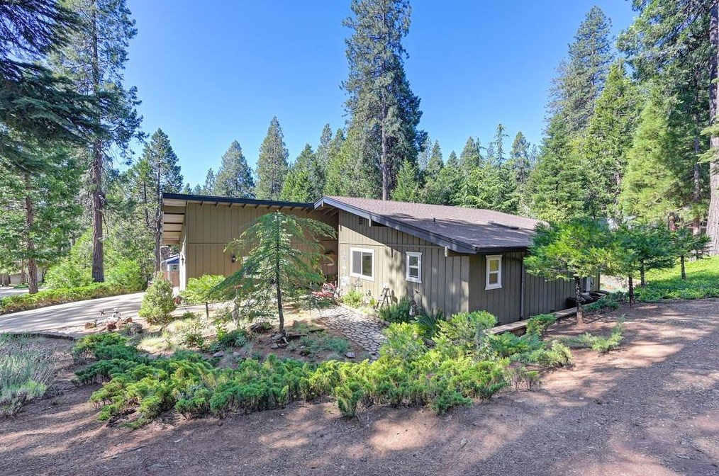 16443 Mdw Vis Dr, Pioneer CA  95666-9335 exterior