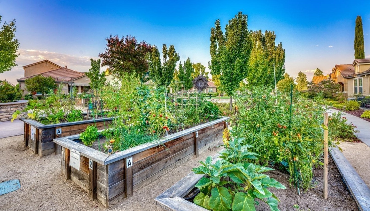 1568 Marseille Ln, Roseville CA  95747-5092 exterior