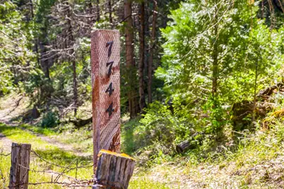 7744 Swiss Ranch Road, Mountain Ranch, CA 95246 - Photo 5