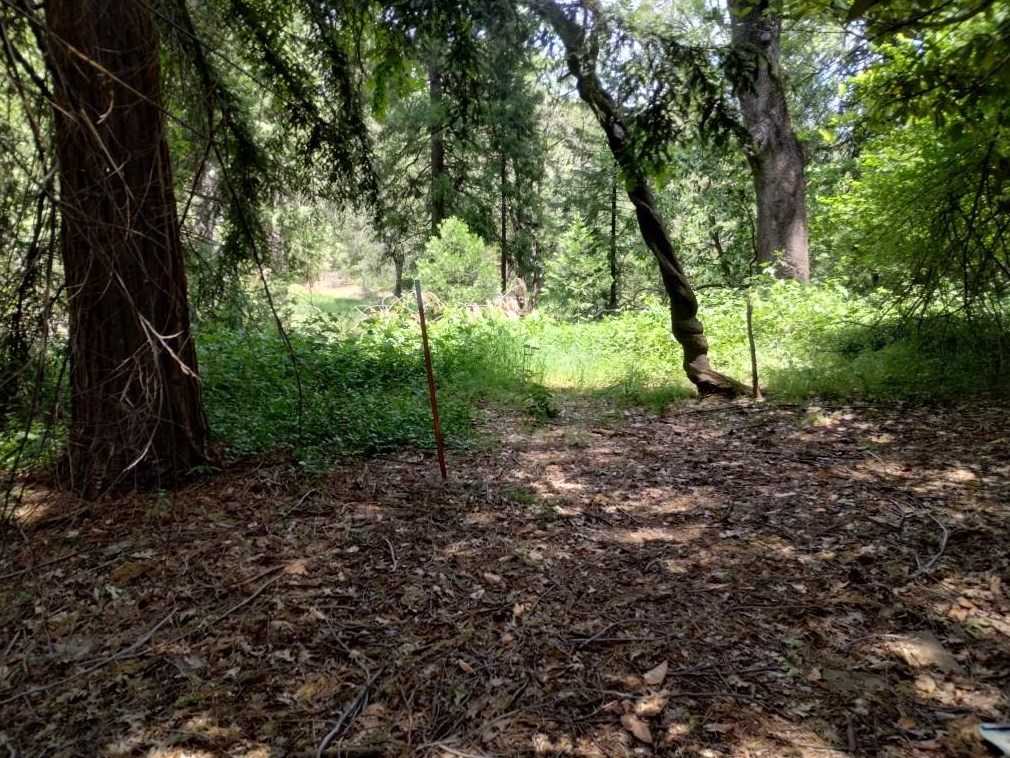 11289 Sundown Pl, Grass Valley CA  95945-9510 exterior