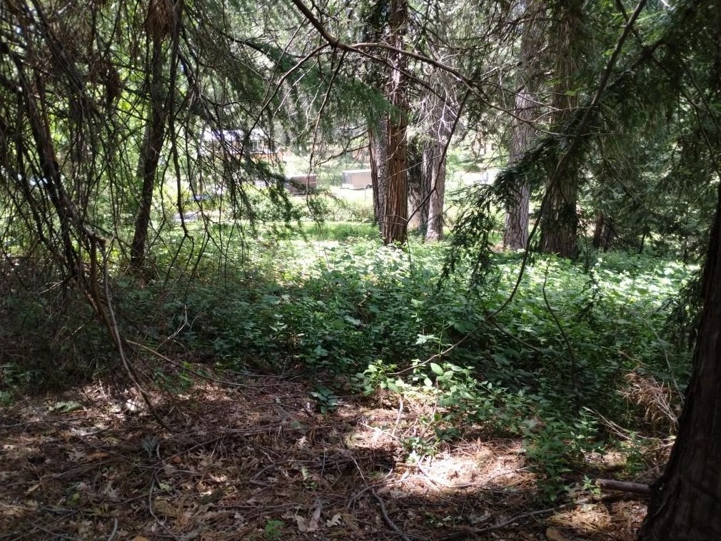 11289 Sundown Pl, Grass Valley CA  95945-9510 exterior