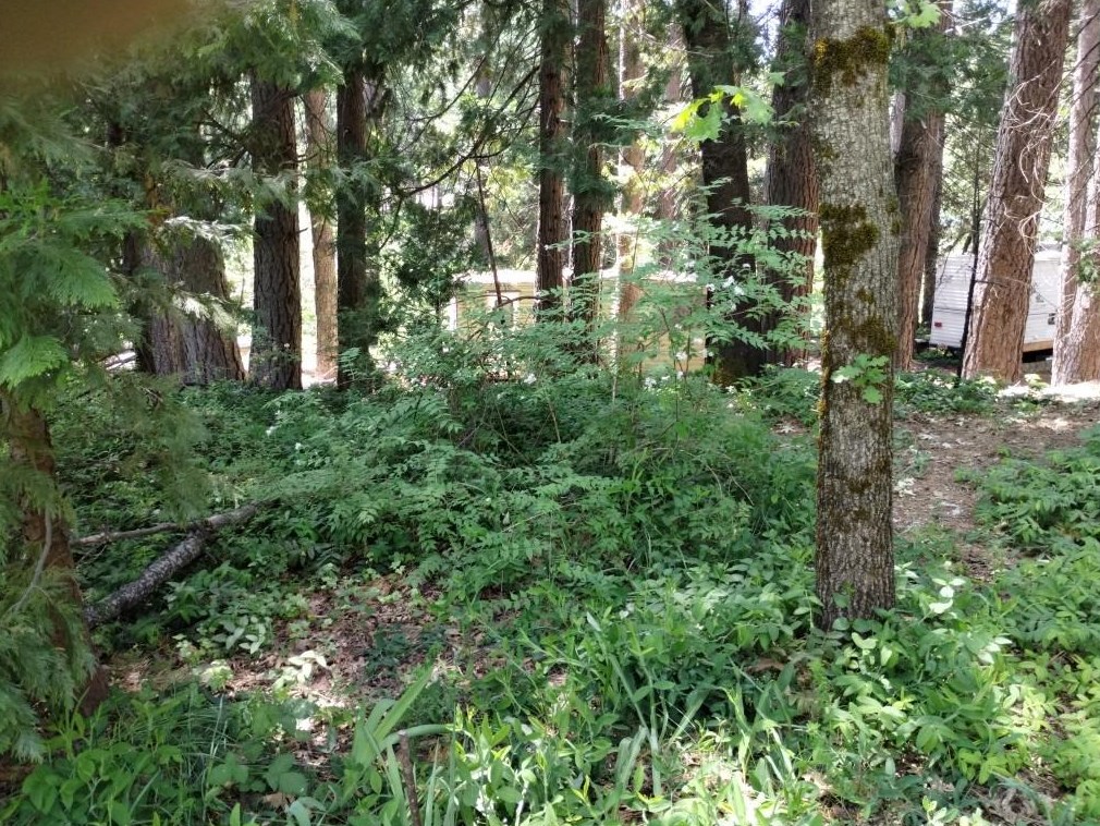 11289 Sundown Pl, Grass Valley CA  95945-9510 exterior