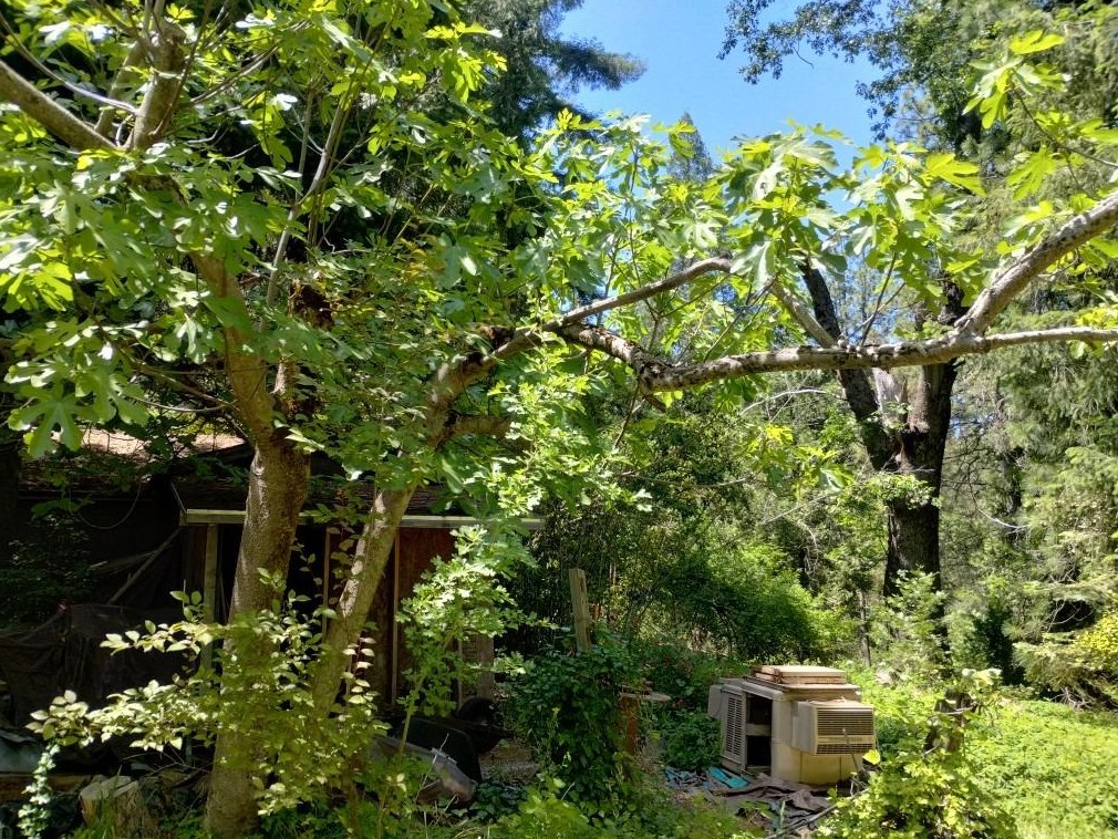 11289 Sundown Pl, Grass Valley CA  95945-9510 exterior