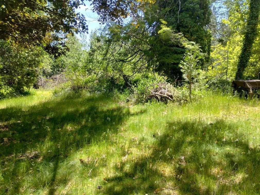 11289 Sundown Pl, Grass Valley CA  95945-9510 exterior