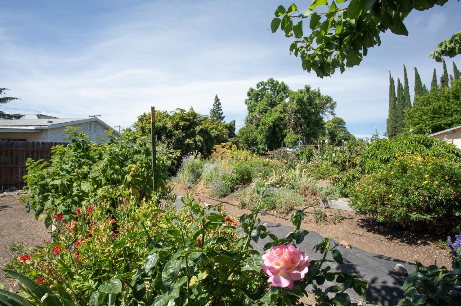 544 Laurel Dr, Yuba City CA  95991-6210 exterior