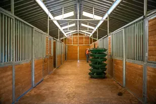 8591 Hogan Dam Rd, Valley Springs, CA 95252 - Photo 57