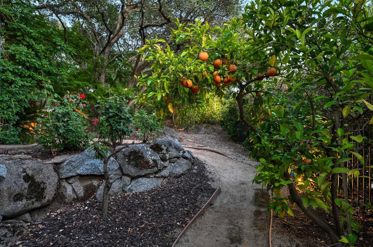 6352 Calle Montalvo Cir, Roseville CA  95746-5821 exterior