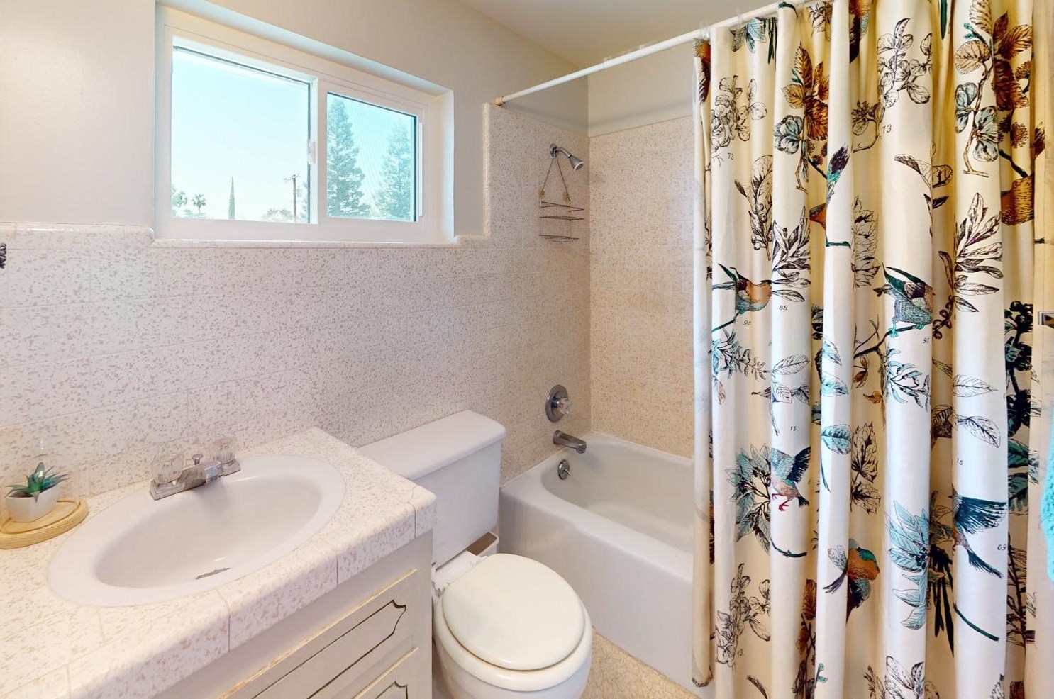 731 Bunce Rd, Yuba City CA  95991-6204 exterior