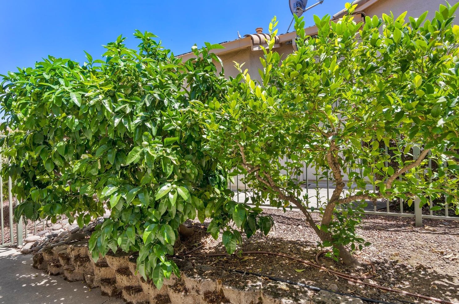1573 Summerhill Ln, Lincoln CA  95648-8348 exterior