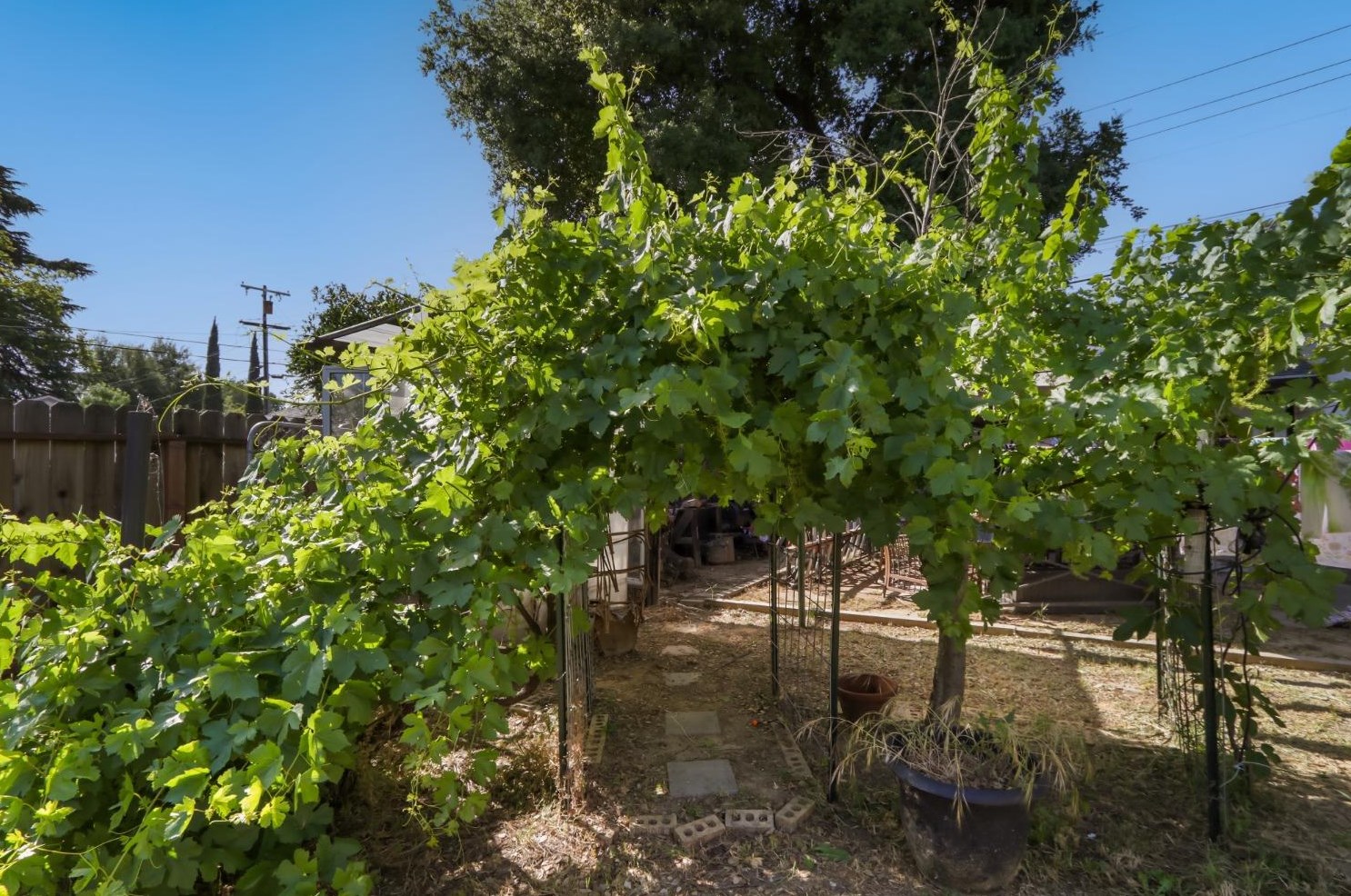 152 St, Woodland CA  95695-3132 exterior