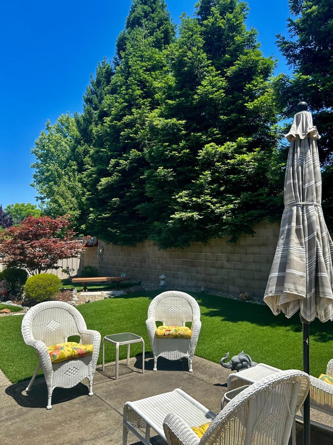 6224 Buckskin Ln, Roseville CA  95747-8073 exterior