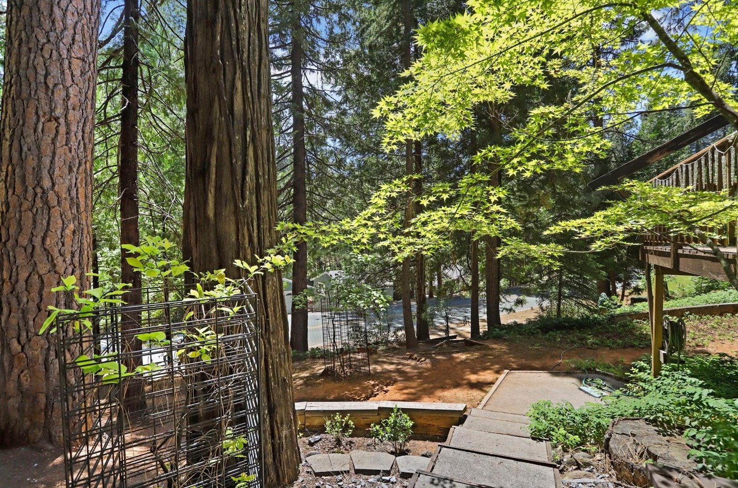 27281 Barton Rd, Pioneer CA  95666-9668 exterior