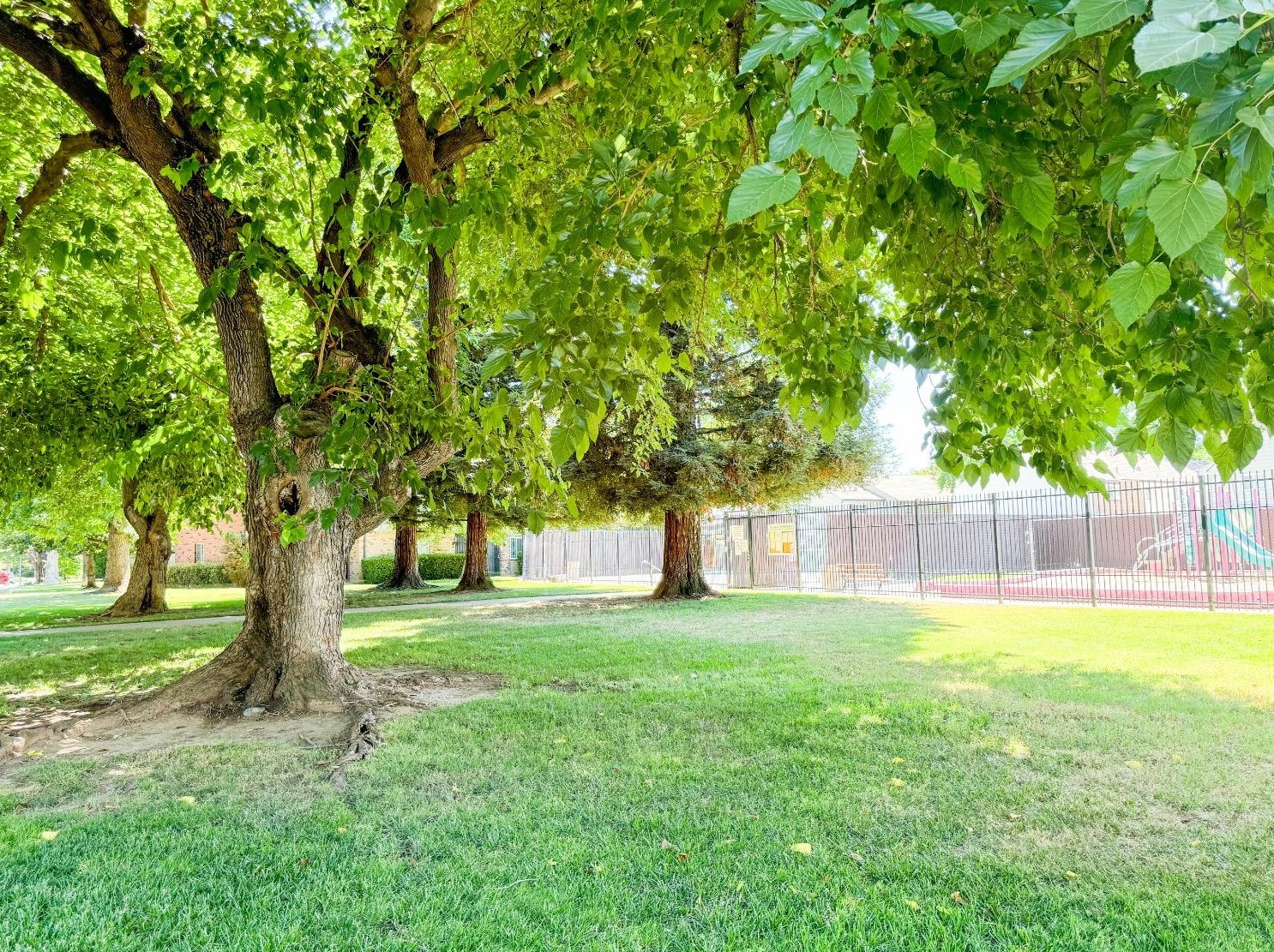 1969 Benita Dr, Rancho Cordova CA  95670-2602 exterior