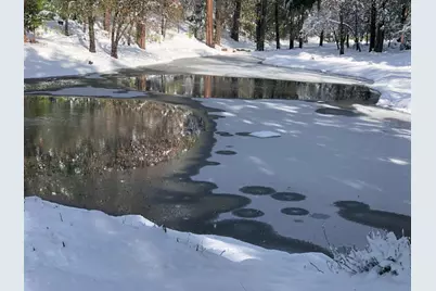 5110 Sly Park Road, Pollock Pines, CA 95726 - Photo 51