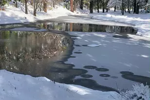 5110 Sly Park Rd, Pollock Pines, CA 95726 - Photo 51