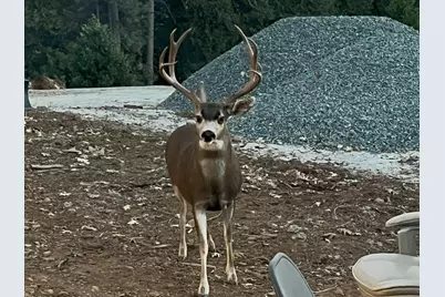 5110 Sly Park Road, Pollock Pines, CA 95726 - Photo 47