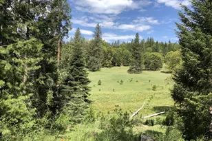 5110 Sly Park Rd, Pollock Pines, CA 95726 - Photo 49