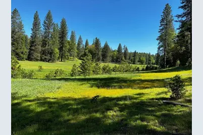 5110 Sly Park Road, Pollock Pines, CA 95726 - Photo 37