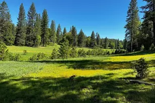 5110 Sly Park Rd, Pollock Pines, CA 95726 - Photo 37