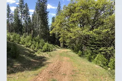 5110 Sly Park Road, Pollock Pines, CA 95726 - Photo 41