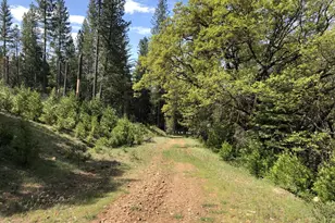 5110 Sly Park Rd, Pollock Pines, CA 95726 - Photo 41