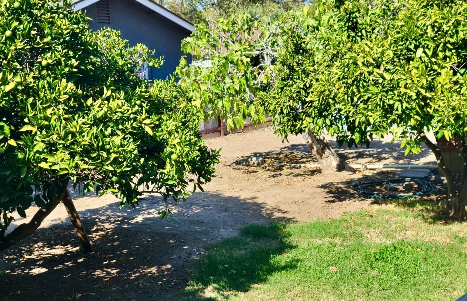 126 Minaret Ave, Turlock CA 95380-4162 exterior