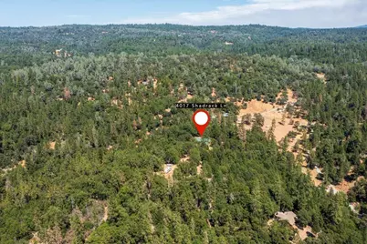 4017 Shadrack Lane, Greenwood, CA 95635 - Photo 43