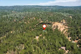 4017 Shadrack Ln, Greenwood, CA 95635 - Photo 43