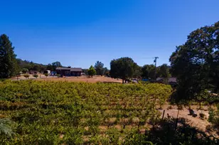 1000 Aqua Haven Ct, El Dorado Hills, CA 95762 - Photo 29