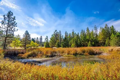 9030 Smith Station Road, Groveland, CA 95321 - Photo 11