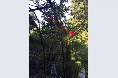 5403 Blackhawk Drive, Danville, CA 94506 - Photo 45