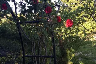 5403 Blackhawk Dr, Danville, CA 94506 - Photo 45