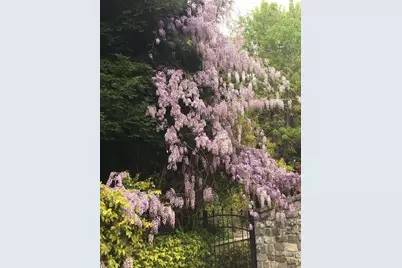 5403 Blackhawk Drive, Danville, CA 94506 - Photo 39