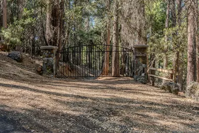 19413 Ponderosa Drive, Pioneer, CA 95666 - Photo 1