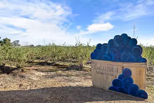 5288 Kile Rd, Lodi, CA 95242 - Photo 3