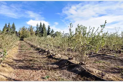 5288 Kile Road, Lodi, CA 95242 - Photo 61